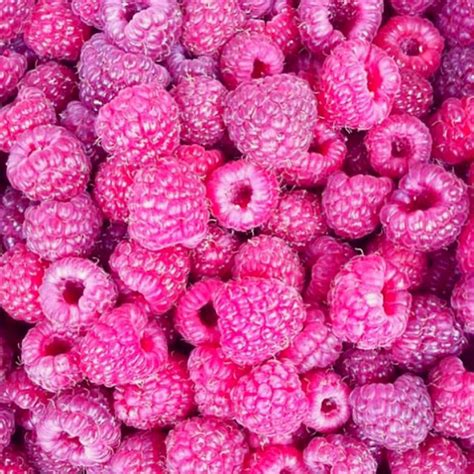 Raspberry Pink: The Color That Commands Attention