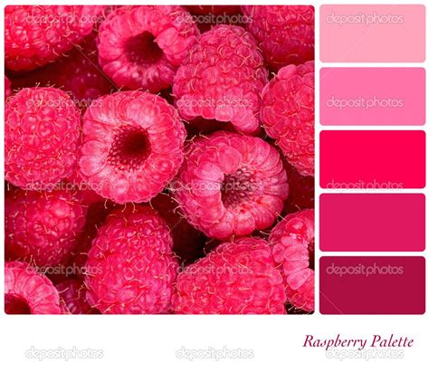 Raspberry Pink: The Color That Seduces Senses