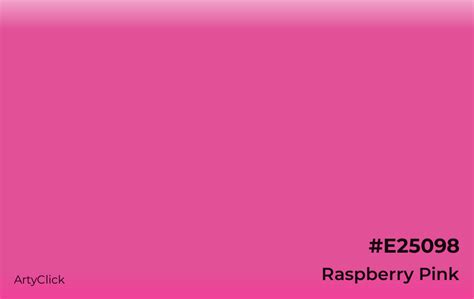 Raspberry Pink: The Color of Passion, Playfulness, and Innovation