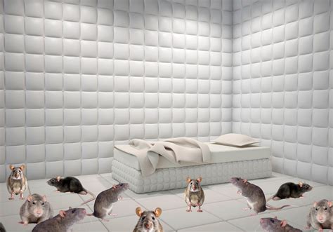 Rat in a Rubber Room: The 12-Step Guide to Mental Health Empowerment