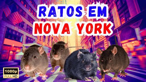 Ratos em Nova York