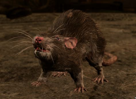 Rats In BG3: A Guide to Encountering, Avoiding, and Exploiting Them