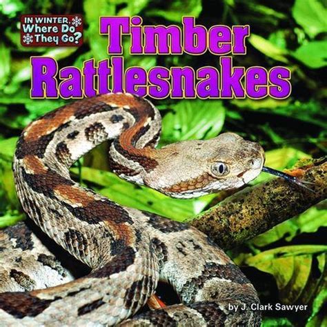 Rattlesnakes Ebook PDF