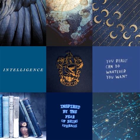 Ravenclaw Wear: Embracing Intelligence and Wisdom