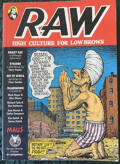 Raw, No 3: High Culture for Lowbrows Ebook Reader