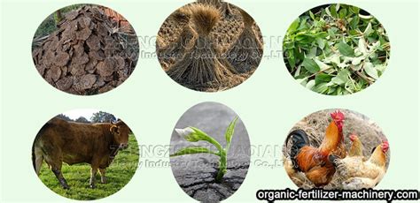 Raw Materials for Organic Fertilizer Production