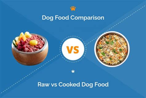 Raw VS Cooked: The 2025 Pet Food Trend Showdown!