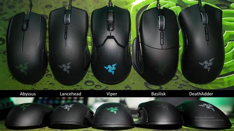 Razer Deathadder vs Viper: A Clash of Ergonomic Gaming Mice