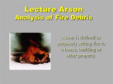 Real Burning Tree: 10,000+ Words of Arson Analysis