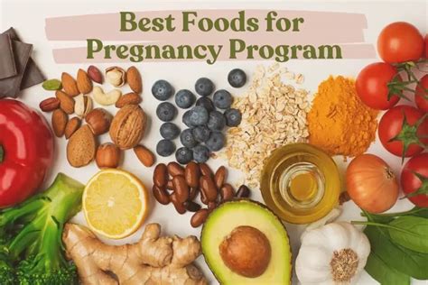 Real Food for Pregnancy Epub
