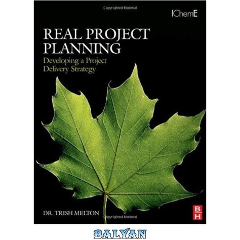 Real Project Planning: Developing a Project Delivery Strategy (Project Management Toolkit) Kindle Editon