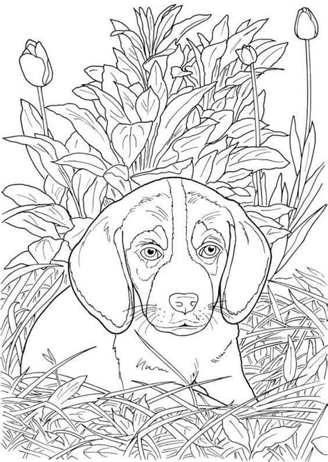 Realistic Animals Vol 4 Dogs And Puppies A Stress Management Coloring Book For Adults Kindle Editon