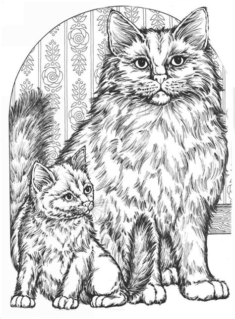 Realistic Cat Coloring Pages Printable