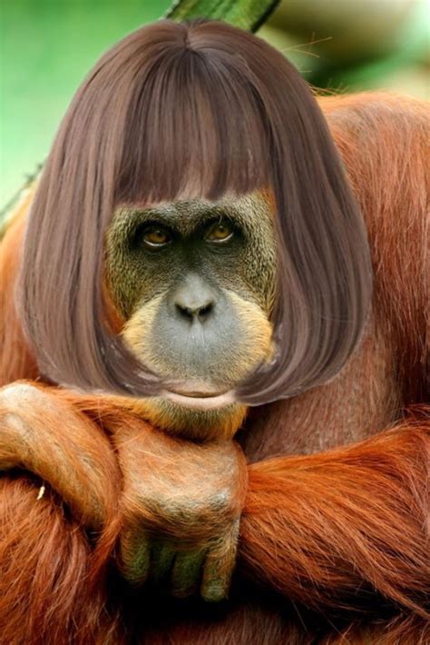 Realistic Monkey Wigs: