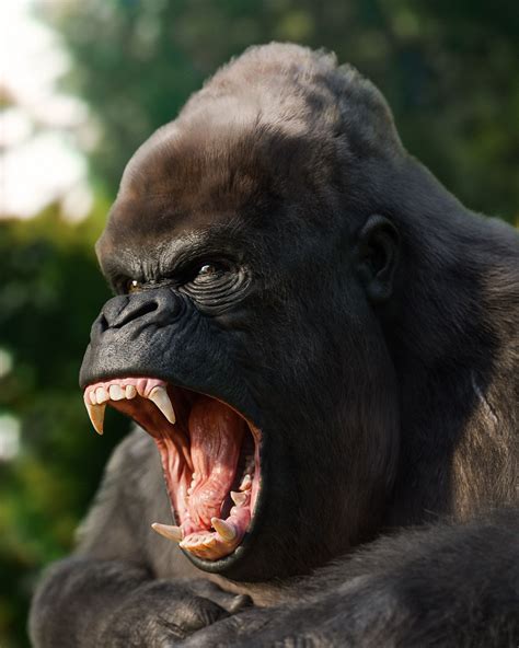 Realistic gorillas: