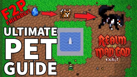 Realm of the Mad God Pets: The Ultimate Guide