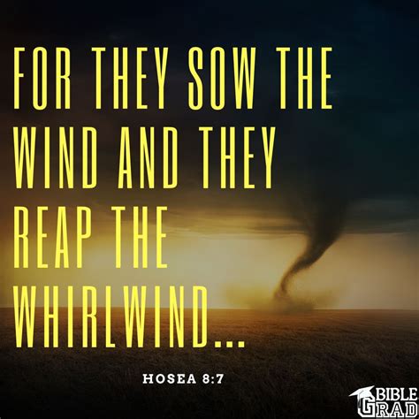 Reap the Whirlwind