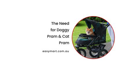 Reasons Why a Cat Pram Matters