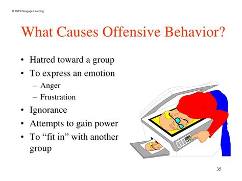 Reasons for the Offensive Behavior: