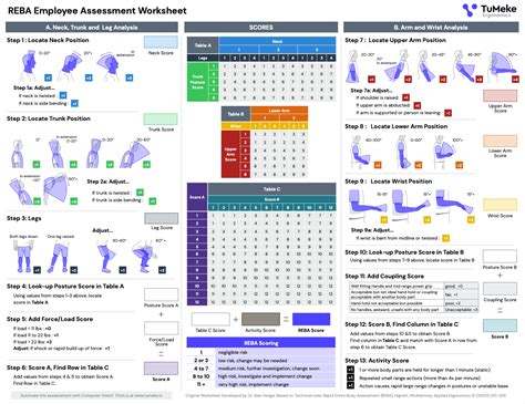 Reba: A Comprehensive Guide to Workplace Ergonomic Assessment