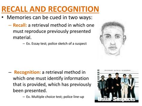 Recall in AP Psychology: Definition and Importance