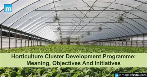 Recent Initiatives in Horticulture Epub