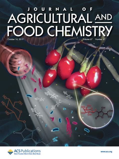 Recent Research Development in Agricultural and Food Chemistry Kindle Editon