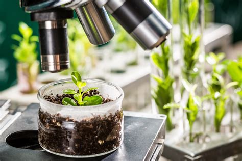 Recent Research Developments in Plant Biology Doc