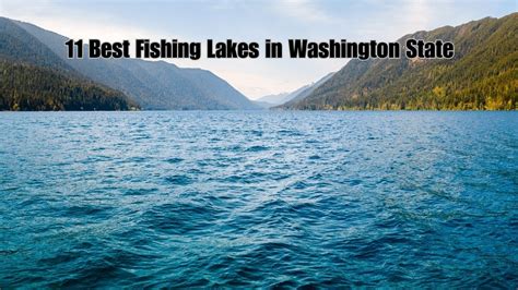 Recently Stocked Lakes Near Me: Your Ultimate Guide to Fishing Paradise