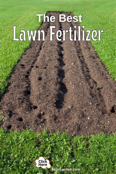 Recharge Fertilizer: Revitalizing Your Crops for Enhanced Yields