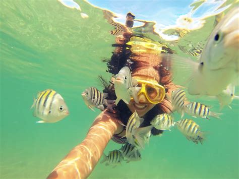 Recife de Fora: Um Paraíso Submarino Paraíso