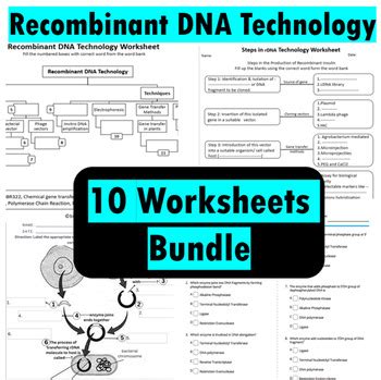 Recombinant Dna Webquest Answers Key Doc