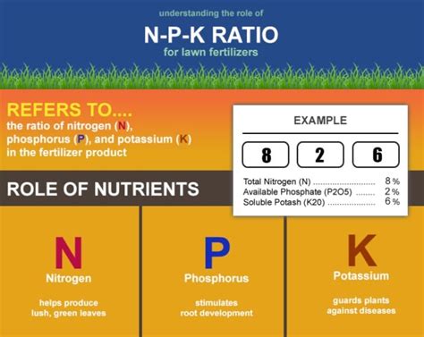 Recommended NPK Ratio: