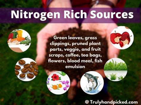 Recommended Nitrogen Sources: