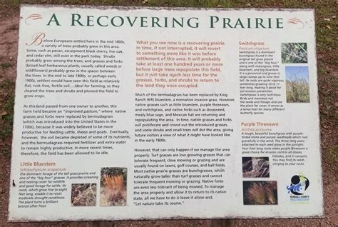 Recovering the Prairie Doc