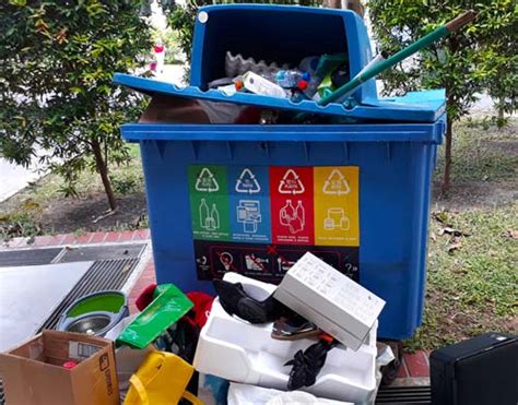 Recycle Bin Singapore: 5 Alarming Facts and 10 Smart Solutions