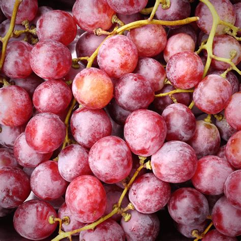 Red Grapes: