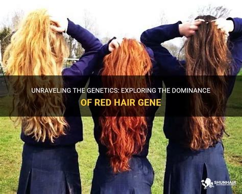 Red Hair Humans: Unraveling the Enigmatic Genetics, Myths, and Cultural Significance