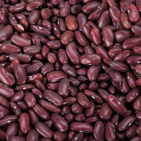 Red Kidney Bean: