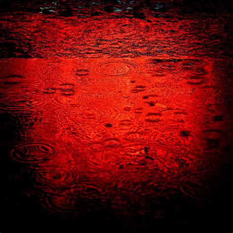 Red Rain PDF