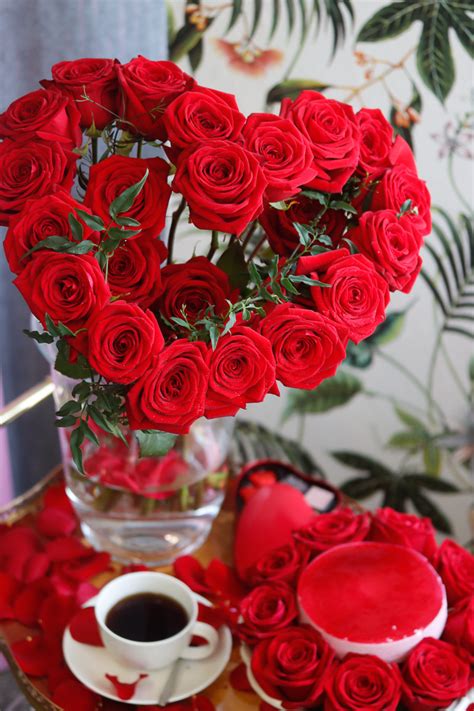 Red Rose for Love Reader