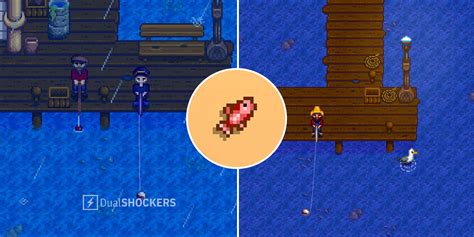 Red Snapper in Stardew Valley: A Comprehensive Guide to Fishing Glory