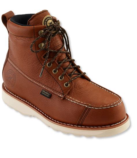 Red Wings Irish Setter