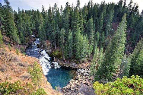 Redding CA Colleges: A Comprehensive Guide to Higher Education in the Shasta Cascade Region