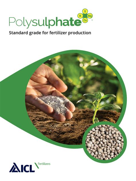 Redefining Crop Nutrition with Polysulphate Fertilizer: A Comprehensive Guide