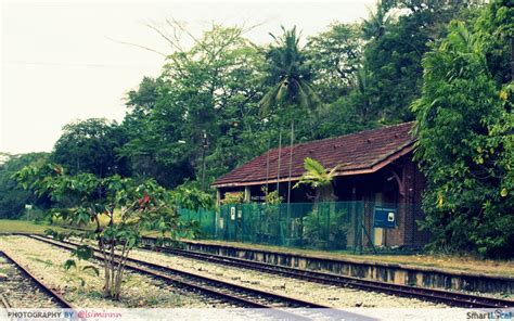 Rediscovering the Allure of Bukit Timah Railway: A Comprehensive Guide