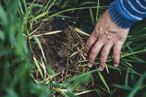 Reduced Nutrient Runoff: