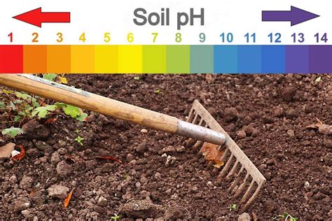 Reduced Soil pH: