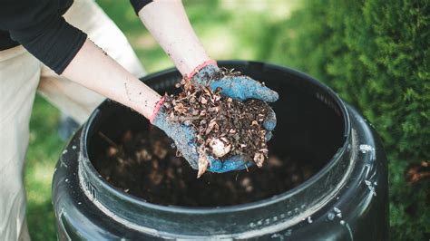 Reduced Time to Compost: