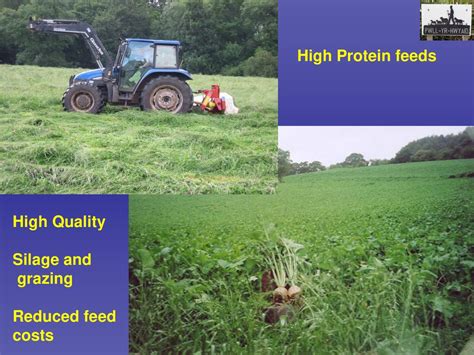 Reduced feed costs: